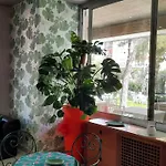 Pineta Отель 3*